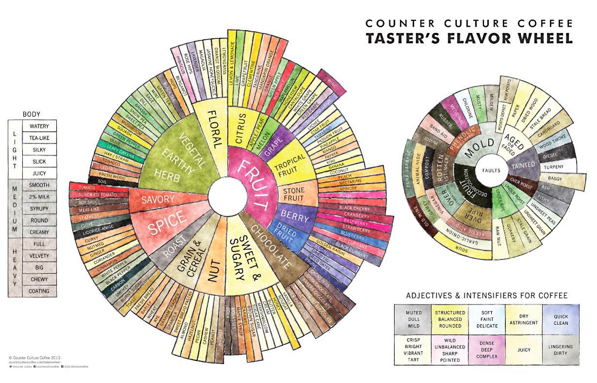 Counter Culture Coffee Taster's Flavor Wheel