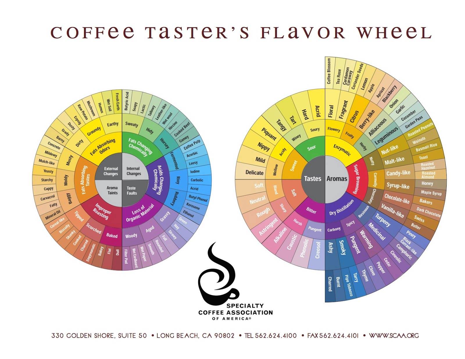 scaa-coffee_tasters_flavor_wheel