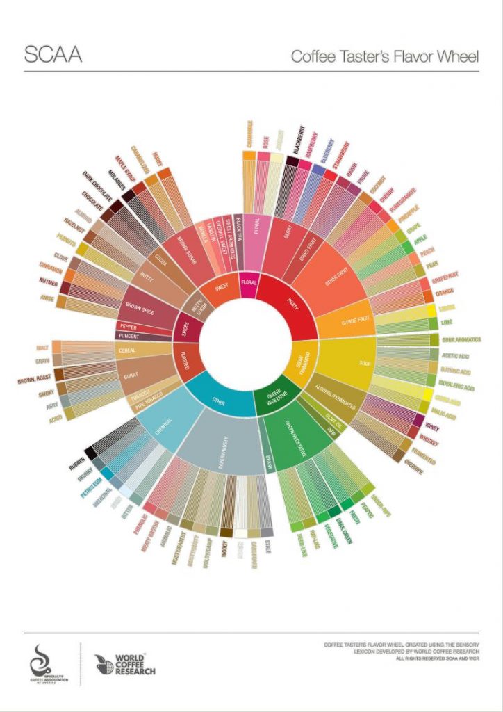 SCAA_FlavorWheel