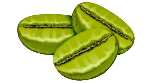 green coffee beans
