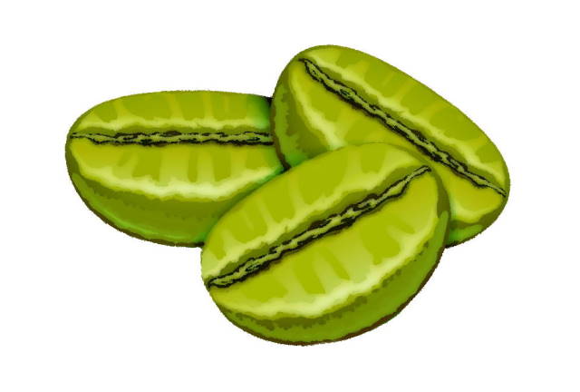 green coffee beans
